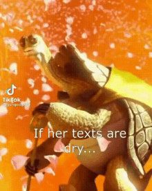 If Her Texts Are Dry Oogway GIF - If Her Texts Are Dry Oogway GIFs