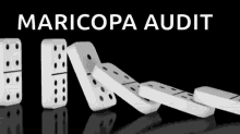 Audit Maricopa GIF - Audit Maricopa GIFs