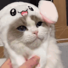 Itzy Ryujin Itzy GIF - Itzy Ryujin Itzy Cat GIFs