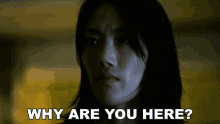 Why Are You Here Kate Zax GIF - Why Are You Here Kate Zax Goliath GIFs
