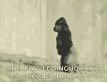 Where Are You Going Johnny Scared Now GIF - Where Are You Going Johnny Scared Now Im Out GIFs