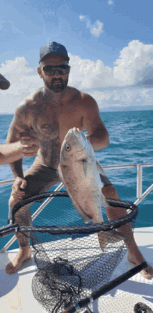 Reef Fishing Charters Airlie Beach GIF