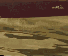 a painting of a body of water with the word parada on it