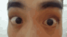 Eyes Eyebrows GIF - Eyes Eyebrows Staring GIFs