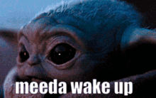 Meeda Wake Up Please GIF - Meeda Wake Up Please GIFs