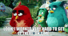 The Angry Birds Movie Red GIF - The Angry Birds Movie Red Look I Worked Very Hard To Get It There On Time GIFs