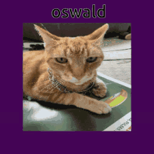 Oswald Cat GIF - Oswald Cat 3d GIFs