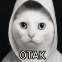 a black and white photo of a cat wearing a hoodie with otak written on it