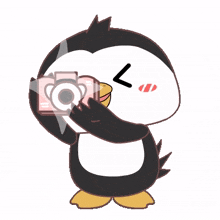 cute penguin camera photo taking click click