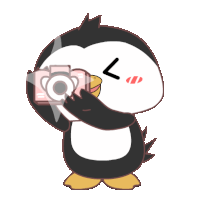 Cute Penguin Sticker - Cute Penguin Camera Stickers