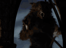 a furry animal with its mouth open is standing in the dark
