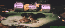 Ninja Turtles GIF - Ninja Turtles Radioactive GIFs