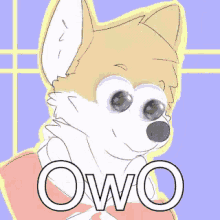Owo GIF