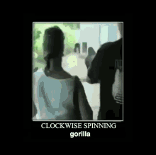 clockwise spinning gorilla funny meme