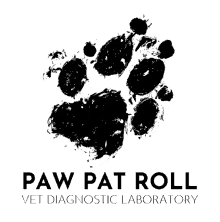Pawpatroll Veterinary GIF - Pawpatroll Veterinary Animal GIFs