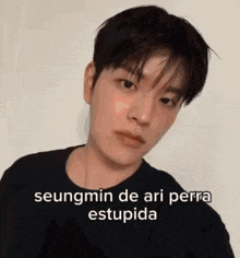 a close up of a person 's face with a caption that says seungmin de ari perra estupida .