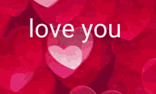Love You I Love You So Much GIF