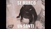 Marcarse Un Santi Monito GIF - Marcarse Un Santi Monito Monkey GIFs