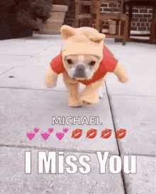 I Miss You Dog GIF - I Miss You Dog Missed You GIFs