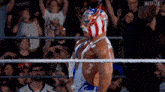a wrestler wearing an american flag mask is standing in a wrestling ring in front of a crowd .