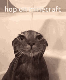 Googas Hop On Minecraft GIF - Googas Hop On Minecraft Wet Cat GIFs