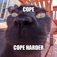 Shmurkles Cope Harder GIF - Shmurkles Cope Harder GIFs