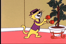 Hanna Barbera Top Cat GIF - Hanna Barbera Top Cat Dancing GIFs