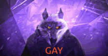 a wolf with a hoodie that says gay