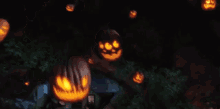jack o lantern pumpkin bats scary monster