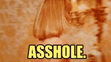 a woman is standing in front of a mirror with the words `` asshole '' written on the screen .