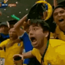 Brazil World Cup GIF - Brazil World Cup Fans GIFs