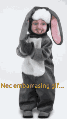 Necs Embarrasing Bunny GIF - Necs Embarrasing Bunny Clap GIFs