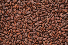 Cacao Beans GIF