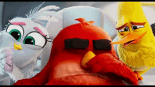 Angry Birds Emotional GIF - Angry Birds Emotional Ugh GIFs