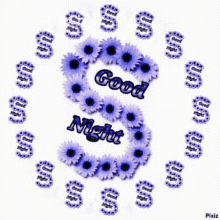 Good Night एस GIF - Good Night एस शुभरात्रि GIFs