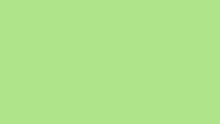 a green background with the word pint and a glass of beer