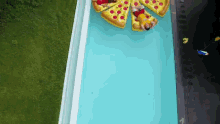 허팝 피자 유튜버 수영장 GIF - Pizza Summer Swim GIFs