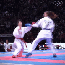 Punch Karate GIF - Punch Karate Karateka GIFs
