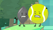 a leaf and a tennis ball are standing next to each other in a cartoon