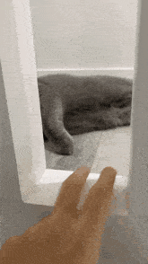 Slap Cat GIF - Slap Cat Stair GIFs