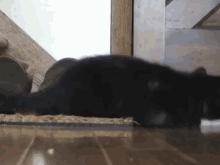 Omg GIF - Cats Kittens Scared GIFs