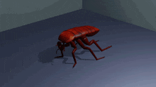 a 3d model of a bug crawling on a gray surface