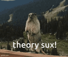 a ground squirrel standing on its hind legs with the words theory sux above it