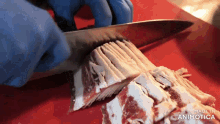 a person is cutting bacon on a red cutting board and the words made in animatica are visible