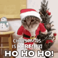 Christmas Christmas Cat GIF