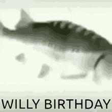 willy burgatley burgatley fish fish spin