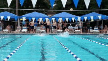 Swim Swimming GIF - Swim Swimming Contest GIFs