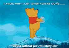 winnie the pooh without you