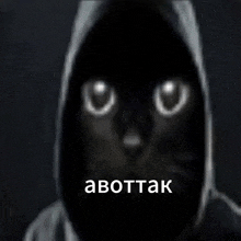 a black cat wearing a hooded jacket with the words abottak written on the bottom