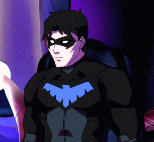 young justice nightwing logo